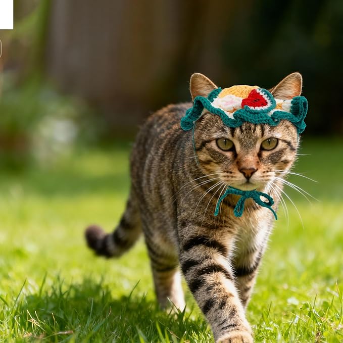 Knitted Cat Hat, Cute Small Flower Watermelon Crochet Cat Hat for Dog Puppy Pet Halloween Xmas Knit Cap Decoration(Green)