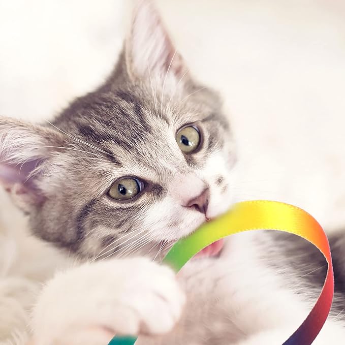 cobee 3 Pack Cat Wand Toy Set, 30cm Cat Interactive Wand with Rainbow Ribbon String + Leopard Print Cloth String for Kitten Training & Exerciser, Indoor Kitten Catcher