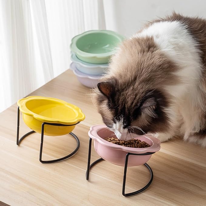 Modern Ceramic Cats Bowl Nonslip Pet Food Watering Bowl for Easy to Simple Design Feeding Tool Ceramic with Iron Base