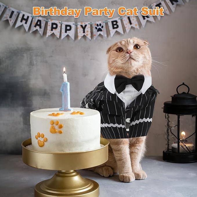 Cat Apparel, Stylish Tuxedo Outfit for Kitty with Tie, Black Stripes Pet Outfits for Wedding, Birthday, Party, Large