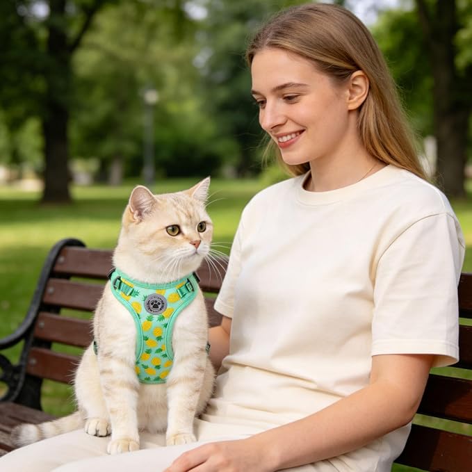 BEAUTYZOO Cat Harness and Leash Set Escape Proof, Small Cat Vest Harness for Walking, Adjustable Step in Kitten Harnesses for Travel, Soft Lightweight Outdoor Cute Kitten Harnesses, Pineapple S