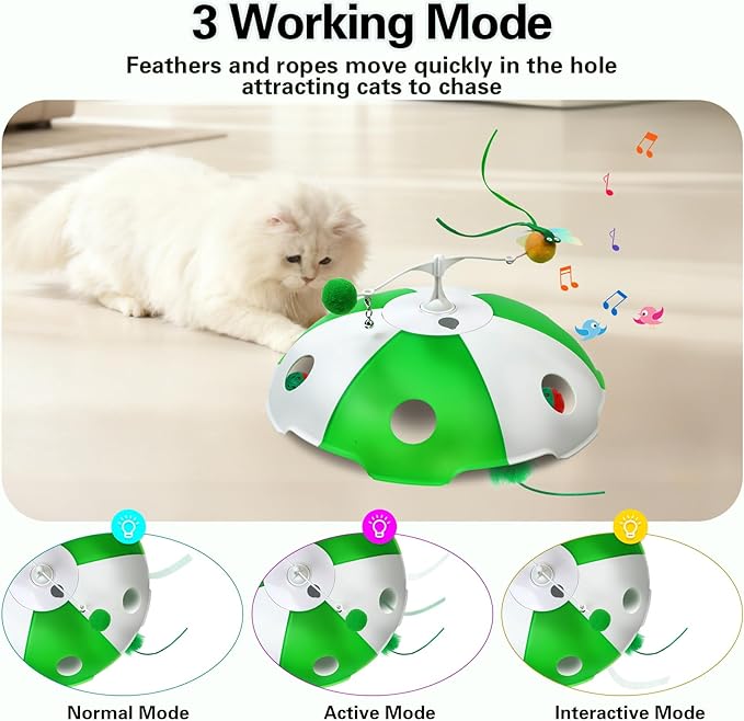 Sofolor Cat Toys Rechargeable, Interactive Cat Toys for Indoor Cats, Touch Activated, Moving Feather, Bird Chirping, 6 Holes Maze Mouse Catching Game