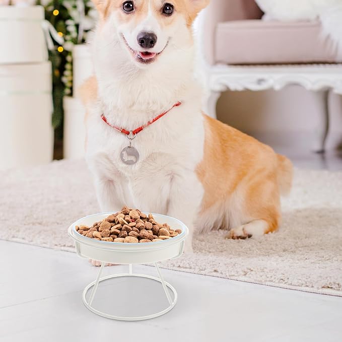 Toddmomy Elevated Ceramic Cat Bowl and Slow Feed Dog Bowl Set with Iron Stand Raised Slow Feeder for Cats and Small Dogs Pet Food and Water Dish for Home Use