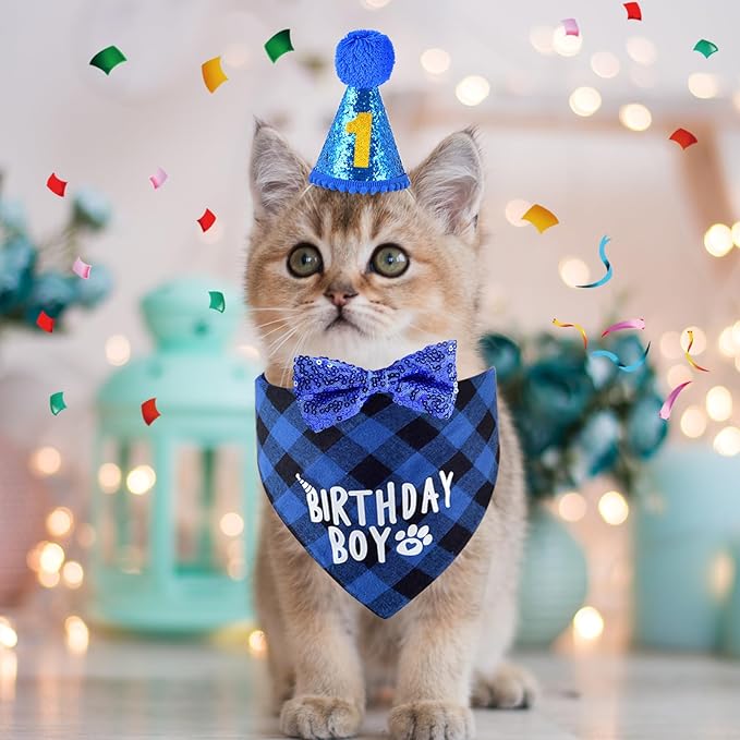 Cat Birthday Party Supplies, Cat Kitten Birthday Bandana Hat Numbers Bowtie for Cats Birthday Party Decorations