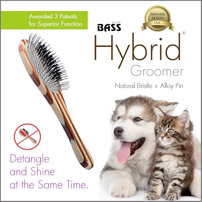 Bass Brushes Rectangle Boar Pet Brush with Bamboo Wood Handle