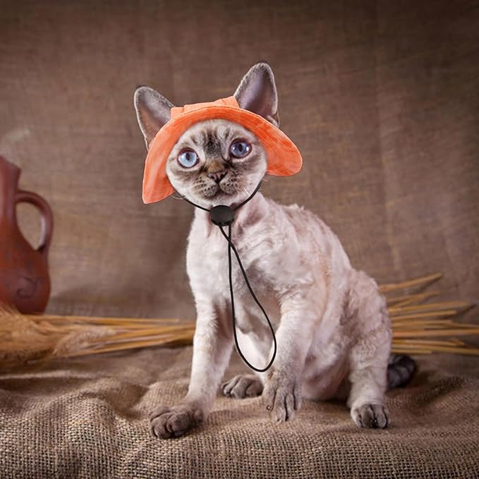 QBLEEV Cat Hats for Cats Only, Sphynx Hat with Ear Hole, Hairless Cat Cowboy Hats for Birthday Party Halloween, Kitten Headwear Sun Sombrero Caps, Chihuahua Sunscreen Baseball Outdoor Climbing Cap