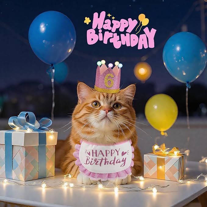 Cat Birthday Hat with Bandana, Light Up Party Outfit, Pink