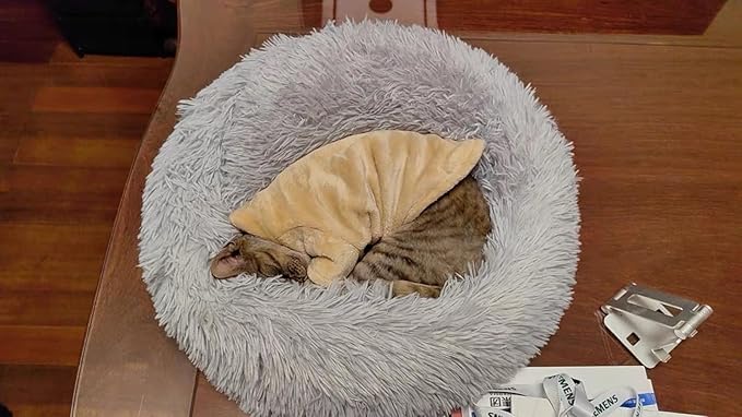 Sphynx Cat Clothes Winter Turtleneck Soft Coral Fleece Cat Clothes Thicken Warm Pajamas Coat for Hairless Cats and Small Cat Apparel with Sleeves (Apricot Yellow, M（3.8-6lbs）)