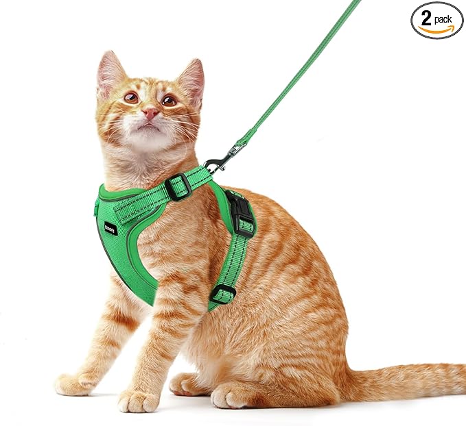 Rttochfy Cat Harness and Leash Set, Adjustable and Reflective Cat Vest, Escape Proof Kitten Harness, Easy to Put on with 3 Buckles for Cats Walking and Traveling (Green, M)