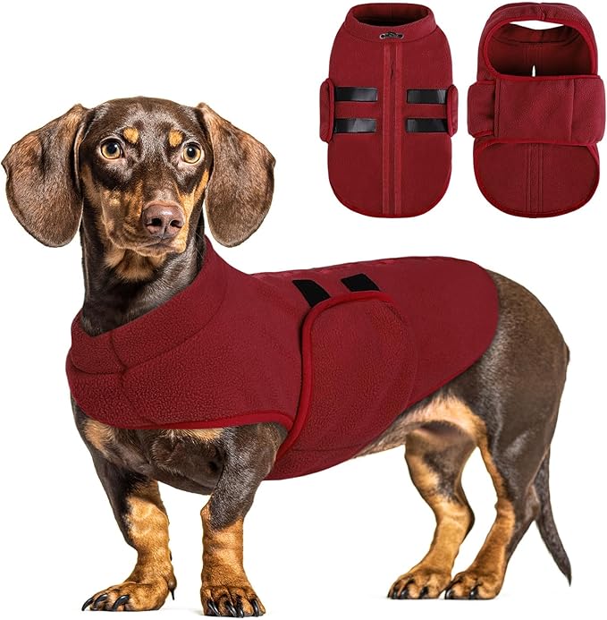 Queenmore XXS Dog Sweater, Soft Fleece Vest Pullover Dog Jacket with Leash Hole, Warm Winter Dogs Clothes Cold Weather Doggy Dachshund Sweaters for Small Dogs Cats Boy or Girl (Burgundy, XXS)