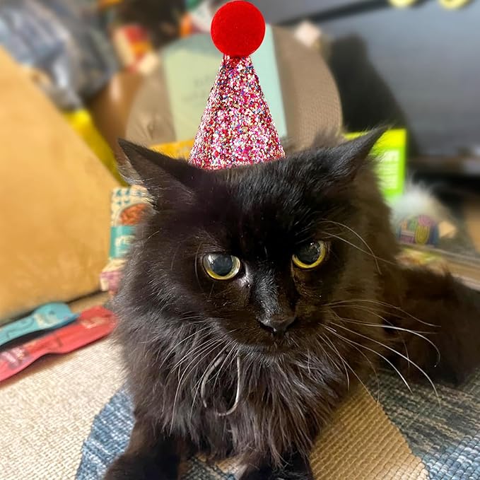 10Pcs Small Dog Party Hats with Sequins, Cats Adjustable Holiday Hats, Puppy Paper Hats for Birthday, Mini Party Hats for Stuffed Animals, Glitter Birthday Party Hats with Pom Poms for Pets