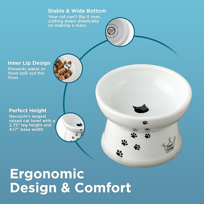 Necoichi Raised Cat Food Bowl – Ceramic Elevated Cat Bowl for Whisker & Neck Fatigue, Dishwasher Microwave Safe – Non-Slip & Anti Vomiting Ergonomic Design (Cats, Regular, 1-Cup Capacity)