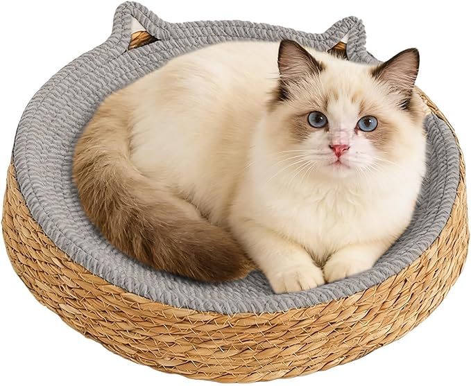 Breathable Cotton Rope Woven Durable Interactive ClawCare FurnitureProtecto Antislip Lightweight Activity Exercise Enrichment Play Kitten Grooming Protection Home Living