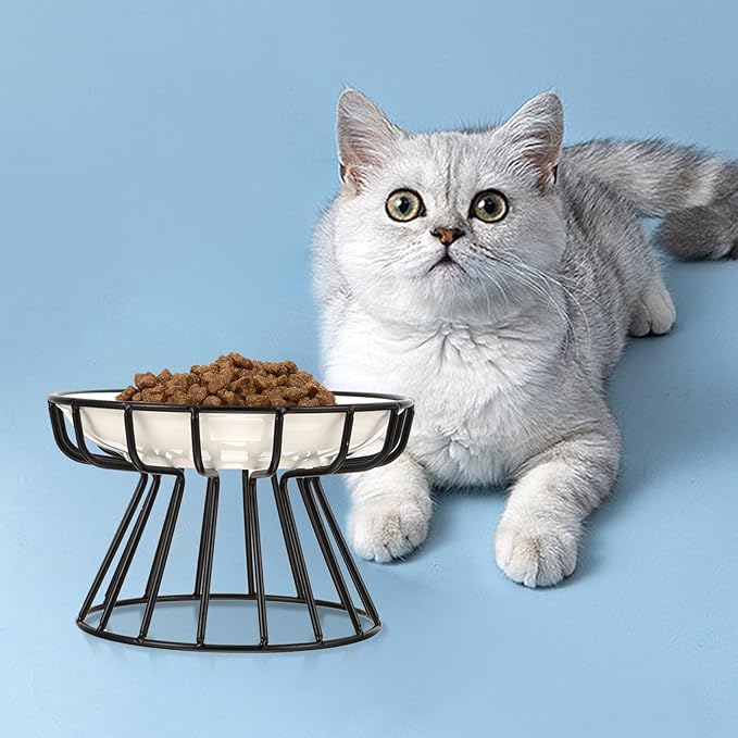 TOYANDONA Elevated Ceramic Cat Bowl Set with Neck Guard, Non-tip Black Iron Rack, Fishbone Plate Design for Indoor Pet Feeding and Watering