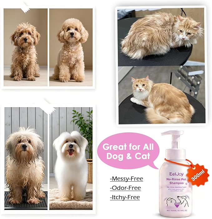 Non-Rinse Pet Shampoo – 10 Fl. oz Dog & Cat Dry Shampoo and Conditioner Itchy Skin Relief - Coconut Oil No Rinse Pet Shampoo for Cat & Dog Grooming & Spot Cleaning, Quick Clean Between Baths