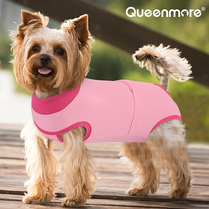 Queenmore Dog Surgical Recovery Suit Onesie, Recovery Suit for Dogs Cats After Surgery,Anti Licking Pet Female Post-Operative Spayed Neutered Shirt, Substitute E-Collar & Cone, Pink,3XL
