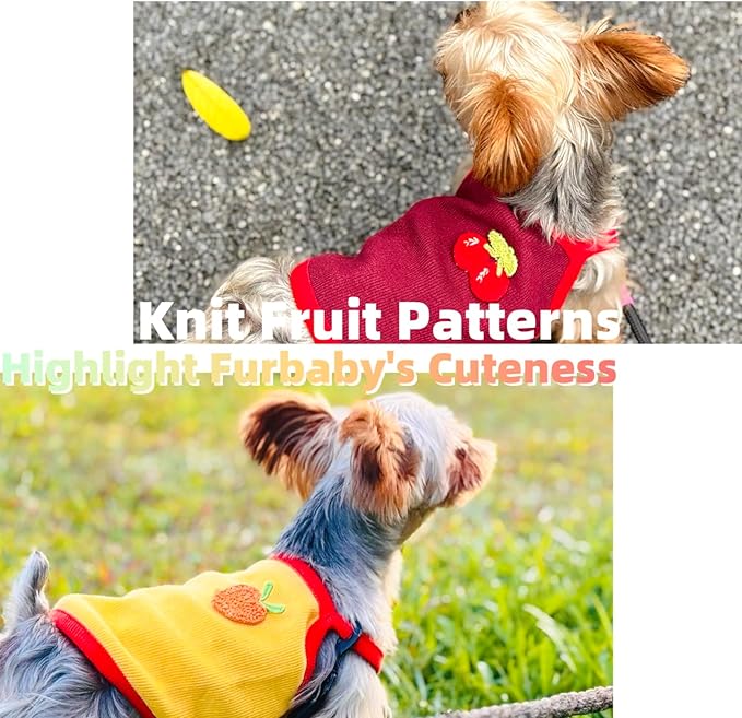4-Piece Tiny Pet Clothes, Candy Colored Plush Sweater Shirts for Newborn/Teacup Cats & Dogs (e.g., Chihuahuas, Yorkies), Bunnies, and Other Small Animals (Sweet Fruit, XXS (1.5-3 lbs))