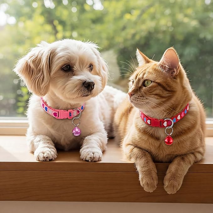 Frienda 6 Pack Cat Collars with Bells Breakaway Cats Collar Adjustable 8.27 to 13.39 Inches Safety Buckle Cute Pets Collar for Adult Cats and Small Dogs(Pink, Green, Red, Light Red, Yellow)