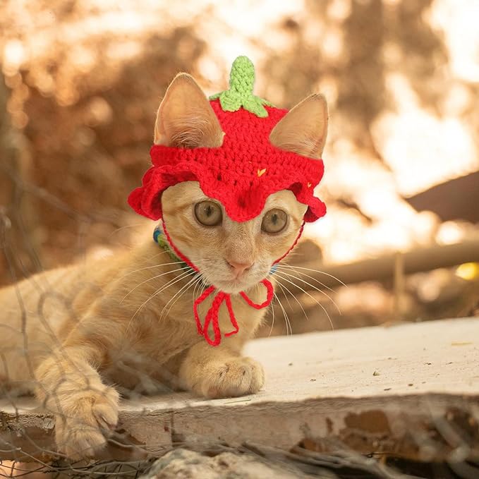 Strawberry Cat Hat, Cartoon Strawberry Design Knit Hat, Cotton & Soft Cute Knitted Hats, Funny Strawberries Dog Costume, Cute Costume Accessory for Puppy, Kitten, Small Animals, with Adjustable Cord
