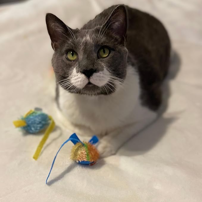 SPOT Stringy Mice & Balls - Catnip Cat Toys, Interactive, Colorful Plush Toys, Fun for Cats and Kittens to Bat and Chase, Boredom Buster - 2 Mice, 2 Balls (Pack of 2)