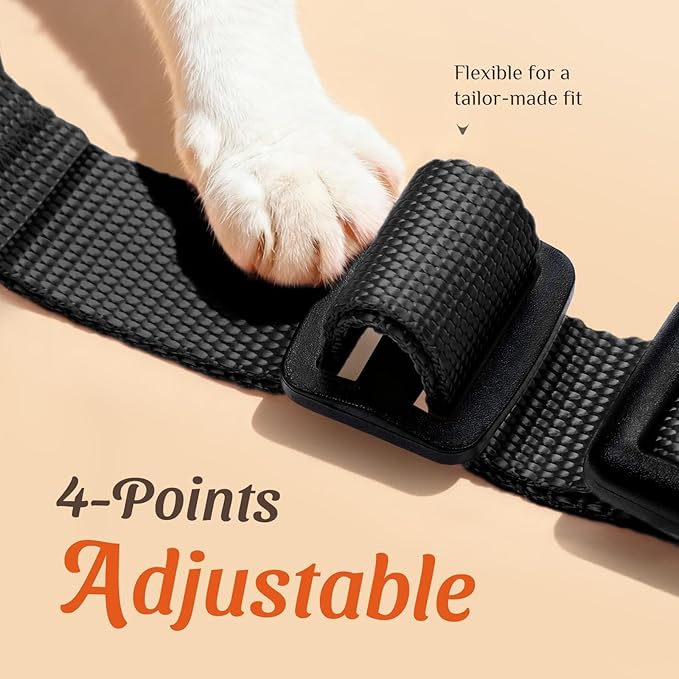 Dooradar Cat Harness and Leash Set, Escape Proof Safe Adjustable Kitten Vest Harnesses for Walking, Easy Control Soft Breathable Mesh Jacket with Reflective Strips for Cats, Black, S