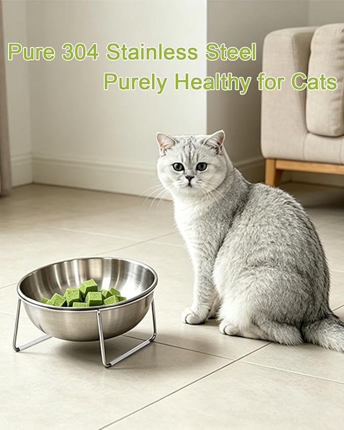 15° Tilted Cat Food Bowls 304 Stainless Steel Kitten Food Bowl Raised Food and Water Dish for Cats Elevated Cat Bowl Plate Stand Whisker Friendly Smooth Polished Easy to Clean Dishwasher Safe 1PACK