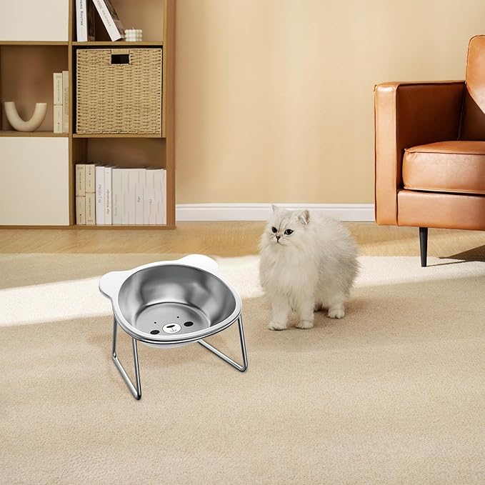 Elevated Cat Bowls, 4.9" Extra Wide Stainless Steel Cat Food Bowls with Anti-Slip Metal Stand Whisker Friendly Water Dishes for Indoor Cats and Small Dogs Cats Dishes Cats Food Dish