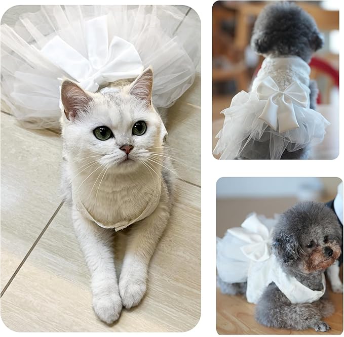 Dog Dress Wedding Outfits, Princess Lace Tutu Strappy Skirt for Female Puppy Small Medium Dogs Girl Cats Costume (Embroidery Dress, Medium)