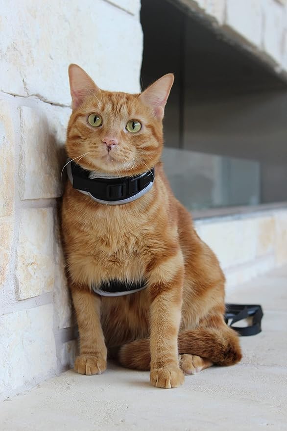 Travel Cat & Stray Cat Harness and Leash Set - Adjustable Velcro Mesh Cat Harness and Strong Nylon Leash Kit - Comfort Escape Proof Harness for Cats, Kitten for Outdoor Walking,Hiking (Medium:9-11 in)