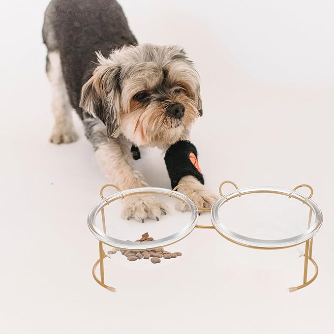 Glass Cat Bowl and Dog Bowl with Bright Gold Iron Stand for Home Feeding and Watering Supplies