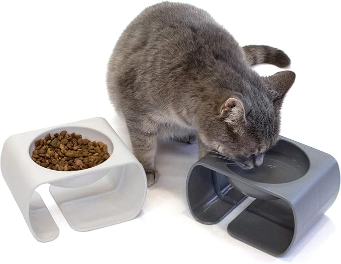 Kitty City Raised Cat Food Bowl Collection/Stress Free Pet Feeder and Waterer and Slow Feed Bowls