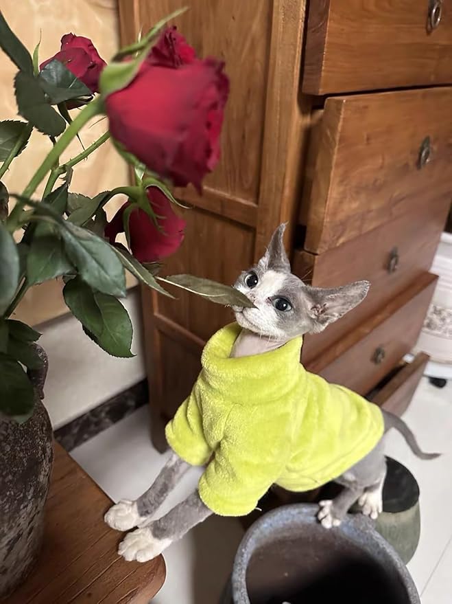Sphynx Cat Clothes Winter Turtleneck Soft Coral Fleece Cat Clothes Thicken Warm Pajamas Coat for Hairless Cats and Small Cat Apparel with Sleeves (Avocado Green, M（3.8-6lbs）)