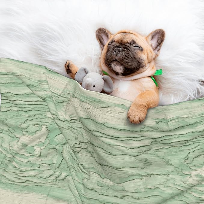 Cat Dog Blanket Pale Green Wood Ultra Soft Warming Mat for Indoor Pet Beds Furniture 27.6 X 19.7inch