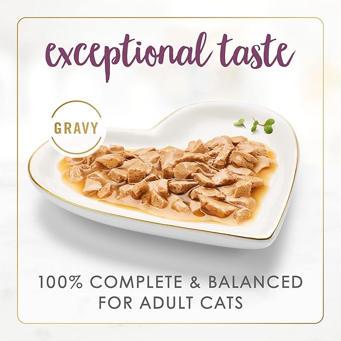 Purina Fancy Feast Gravy Lovers Chicken Feast in Grilled Gourmet Wet Cat Food – (Pack of 24) 3 oz. Cans