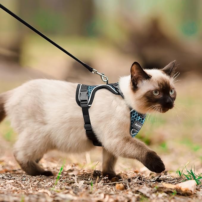 Cat Harness and Leash for Walking Escape Proof Soft Adjustable Cat Leash Breathable Honeycomb Structure Comfortable Vest Easy to Wear Kitten Harness for Outdoor Travel, Honeycomb Blue, S