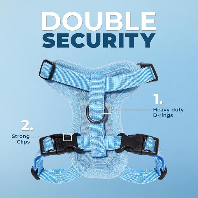 Voyager Step-in Lock Adjustable Cat Harness w. Cat Leash Combo Set with Neoprene Handle 5ft - Supports Small, Medium and Large Breed Cats by Best Pet Supplies - Baby Blue, XXXS
