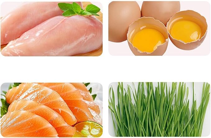 Fun and Entertaining Cat Grass Chewables Wheatgrass Perfect for Indoor Treat 50g Cat Grass Snacks Anti-Hairball Cat Grass for Indoor Cats