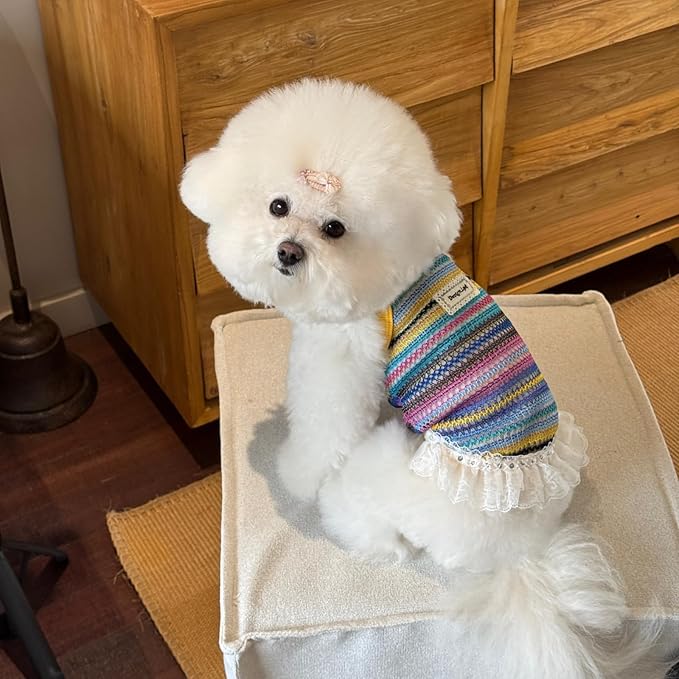 Colorful Openwork Knitted Dog & Cat Clothes - Stylish Pet Tank Top & Skirt for Small Dogs, Cats, Puppies & Kittens, Breathable Comfortable Cozy Pet Clothing