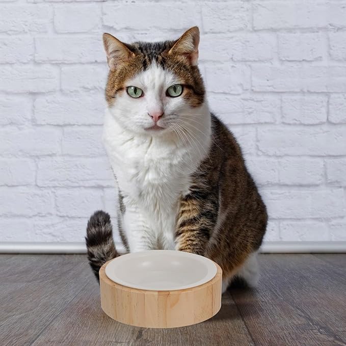 NUOBESTY Elevated Ceramic Cat Bowl with Wood Stand Anti-Vomiting Raised Pet Feeder Dish Round Single Bowl for Cat Feeding and Watering Spine Protection