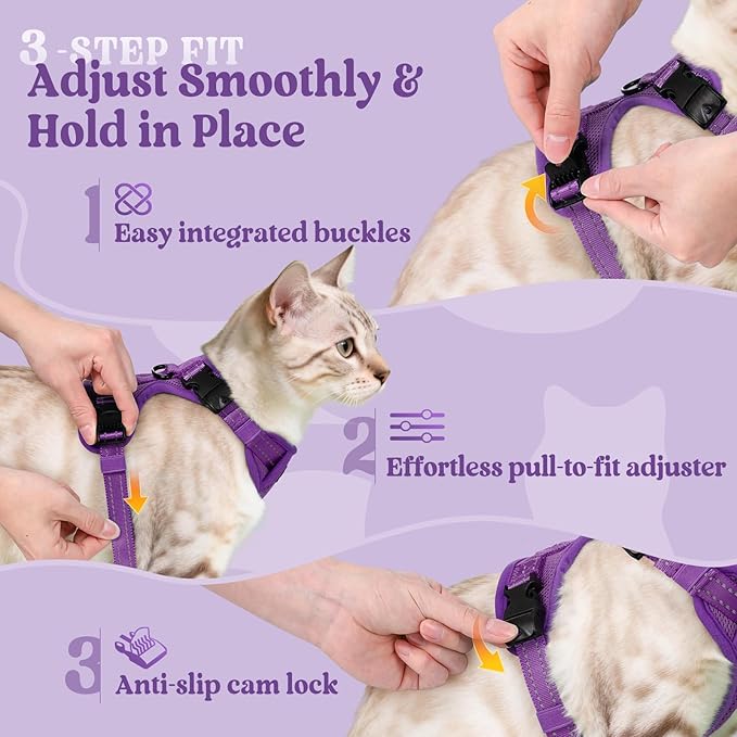 rabbitgoo Cat Harness and Leash, Escape Proof Vest with 3 Adjustable Buckles, Soft Comfortable Kitten Harness, Easy to Wear, Reflective for Safe Outdoor Walking, Medium, Purple