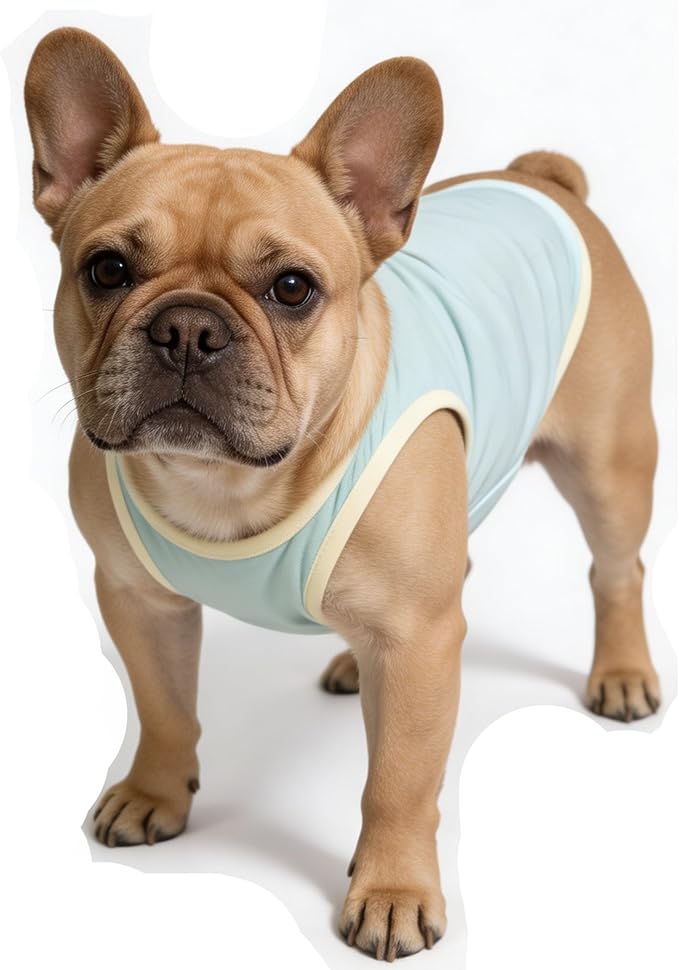2Pcs Cooling Shirts for Small Dogs, Sleeveless Dog Vest, Lightweight Breathable Dog Summer Tank Top Sun Protection Shirts for Dogs Cats Pet Apparel (MintGreen Pink, Medium Size for 5.0-8.5lb Pets)