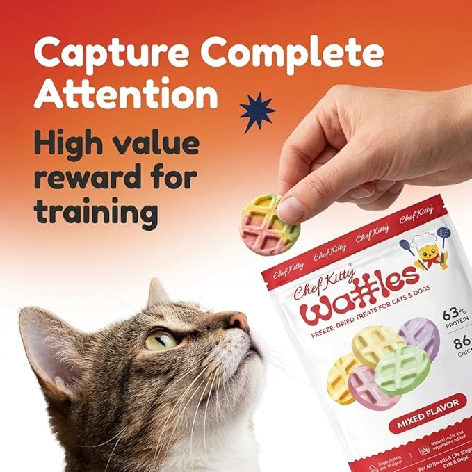 Waffle Freeze Dried Chicken Cat Treats | Healthy Kitten Treats Inspected in USA | Human Grade Dog & Cat Food Toppers | Without Additives, 4 Flavors, 2.1 oz