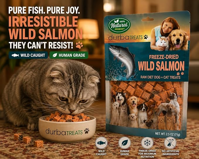 Freeze-Dried Wild-Caught Pink Salmon Treats for Dogs & Cats - Nutrient-Dense, Single-Ingredient Snack, Food Topper. Gluten-Free Weight Control, Training Bites, Allergy Friendly (2.5 Ounce, Salmon)