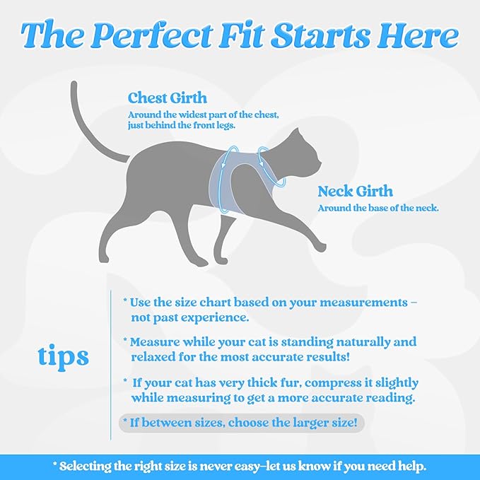 rabbitgoo Cat Harness and Leash Set for Walking Escape Proof, Adjustable Soft Kittens Vest with Reflective Strip for Cats, Comfortable Outdoor Vest, Black & Light Blue, L