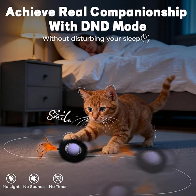 Interactive Cat Toy with Motion Activated Ball & 7 Holes Maze Mat, Hide and Seek Exercise Game for Indoor Cats, Automatic Moving Cat Ball Toy in Pouch, Rechargeable Kitten Toys, Mouse Catching Game
