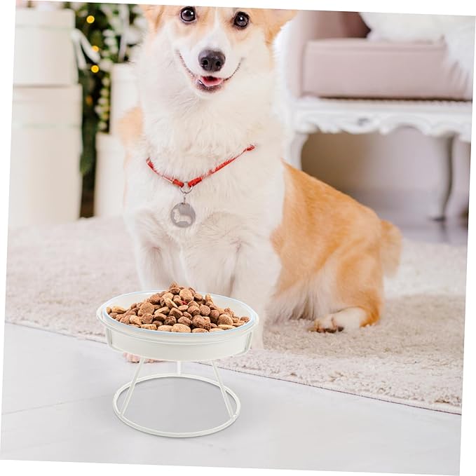 Abaodam Elevated Ceramic Cat Bowl Kitten Slow Feeder Pet Food Dish for Indoor Cats