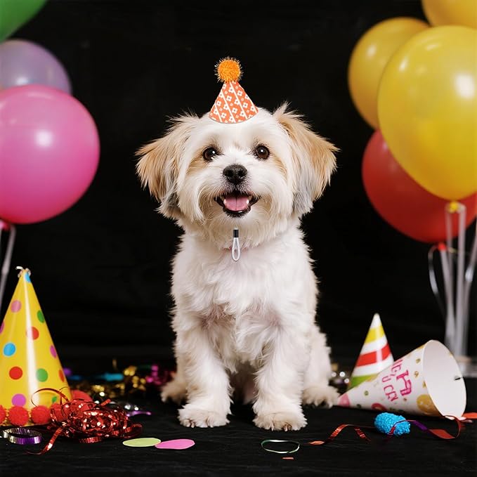 10Pcs Party Hats for Stuffed Animals, Cat Dog Birthday Hats Dolls Party Hat Mini Birthday Hat for Holiday Wedding Puppies Kittens Costume