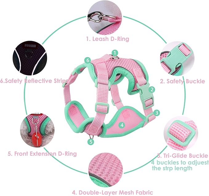 Cat Harness and Leash Set for Walking – Escape-Proof Reflective Vest for Cats and Small Dogs, Adjustable Soft Air Mesh with Pressure-Reducing Design, 4.92ft (Green & Pink, S)