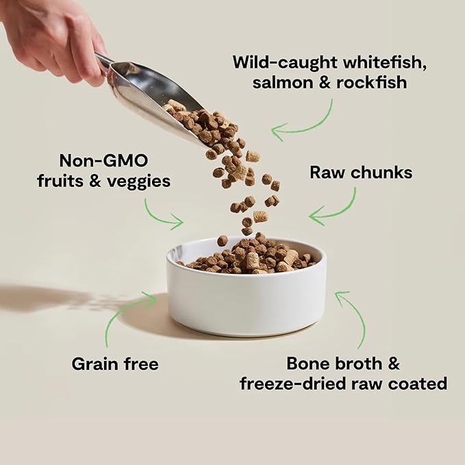 Open Farm, RawMix Dry Cat Food, Protein-Packed Kibble Coated in Bone Broth with Freeze Dried Raw Chunks, for Indoor & Outdoor Cats, Wild-Caught Whitefish, Salmon & Rockfish Recipe, 2.25lb Bag