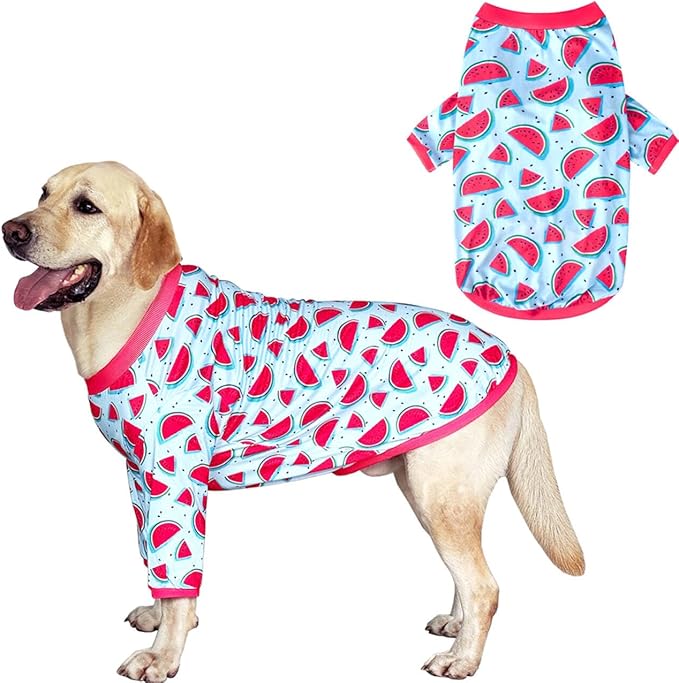 Dog Blue T Shirts Watermelon Pattern Printed Pet Shirt Softable Pajamas for Small Dogs (2XL,Watermelon)